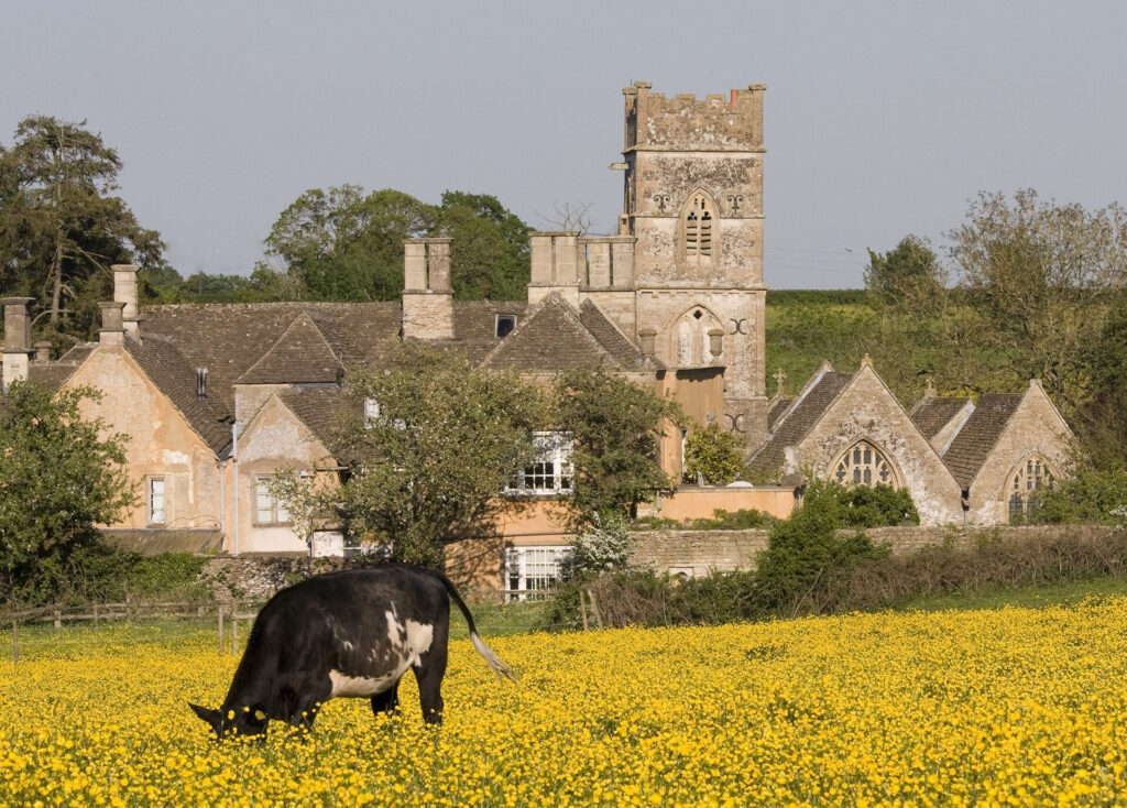 Mayluck Church