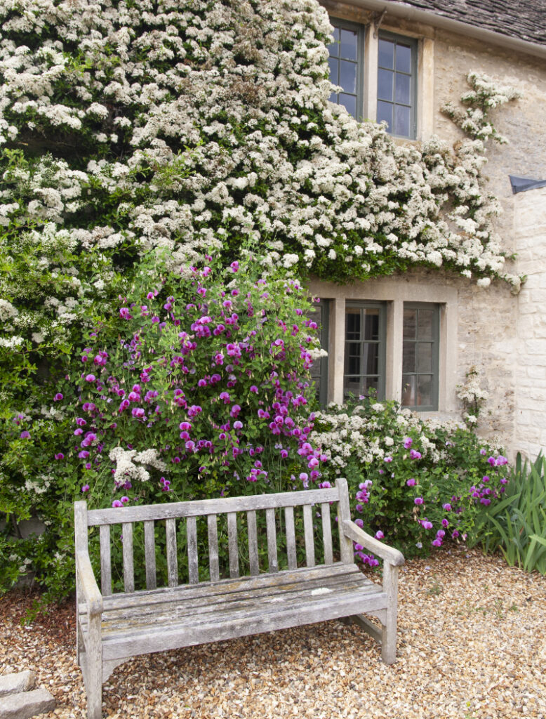 garden bench