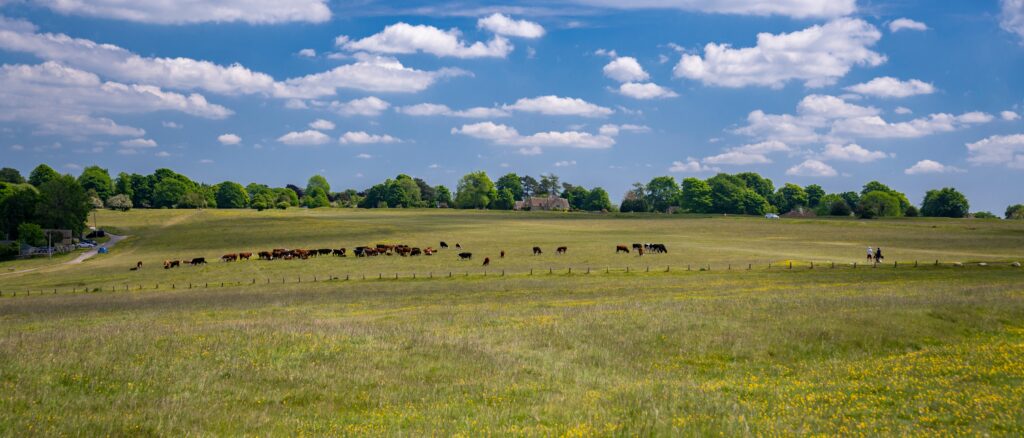 Let your home in Minchinhampton with Victoria Allman Lettings